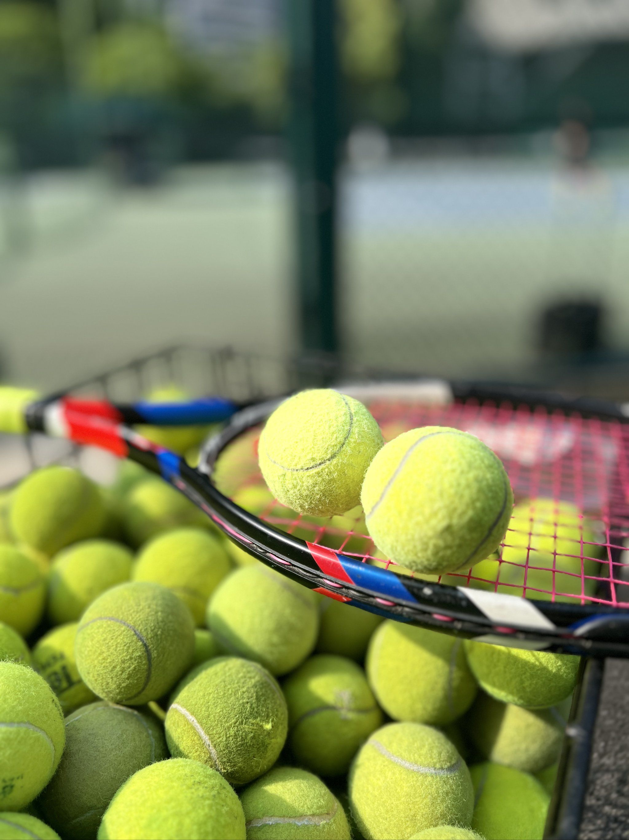 略的影响与 略的影响与